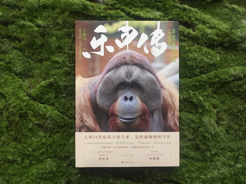乐申想返回的，不是空间上的故土，而是时间里的故乡