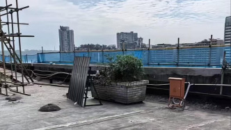 泸州“花坛埋尸案”明日开庭：女嫌疑人落网前出境被阻，竟称遭警方误会