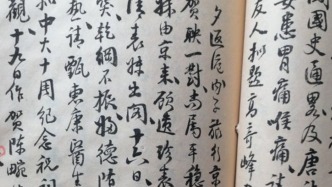 日记探微｜姻亲之累：略谈新见稿本《恕庐年记》
