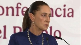 墨西哥要求美方就17名墨公民在美遭枪杀事件展开调查