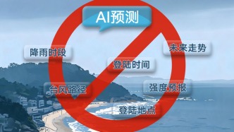 博主发AI台风预报系违法，人民锐评：灾害预警绝不容许被当牟利工具