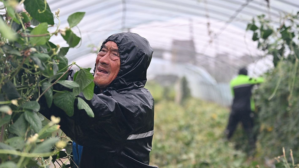 澎湃早晚报｜早餐湃·“巴威”登陆≠风险解除！