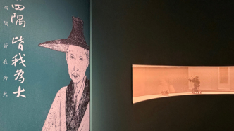 观展记｜在南昌，走近400岁的八大山人（上）