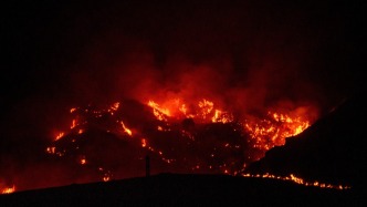 持续高温下欧洲多国山火肆虐，造成大量伤亡