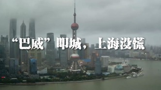 追风12小时丨“巴威”叩城，上海没慌
