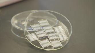 钙钛矿-有机叠层太阳能电池研究取得新突破
