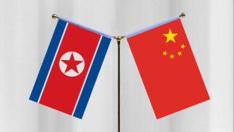 王沪宁将访问朝鲜