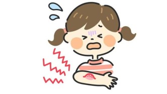 虫咬皮炎：家长必看的儿童防虫与急救指南