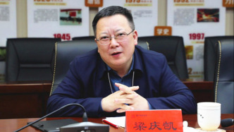 国家开发银行湖南省分行原党委书记、行长梁庆凯被查