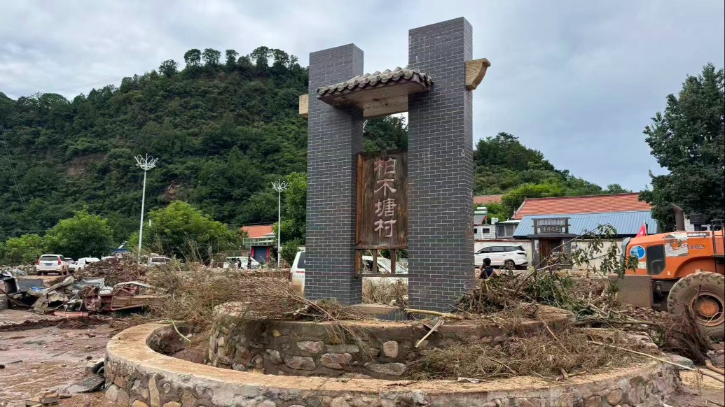 当洪水一下子“上了炕”：一个华北村庄的抗洪纪实