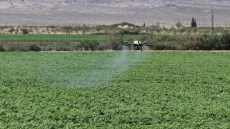北斗导航植保无人机穿梭作业，新疆和硕棉田管护迭代升级