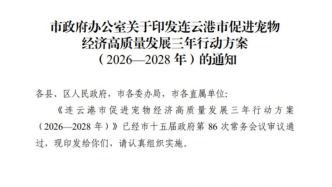 上半年，7个省市区加码宠物经济