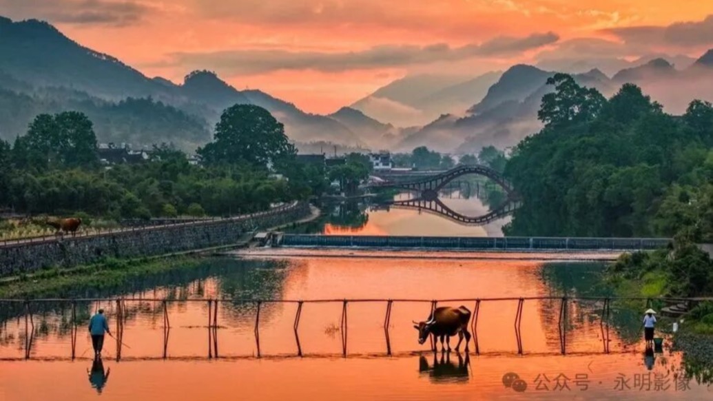 配图