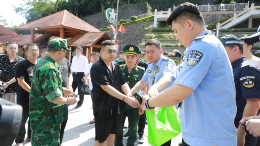 一名涉嫌破坏计算机信息系统犯罪嫌疑人被押解回国