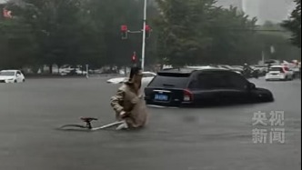 男子推自行车蹚齐腰深积水去上班：这班真是非去不可，因为我是产科医生