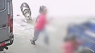 两名女童在家门口玩耍被大狗追逐，家长：所幸孩子没受伤，已口头规劝犬主
