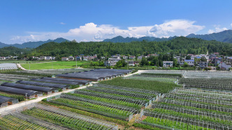 农业农村部：2900多万农户顺利签订二轮到期土地延包合同