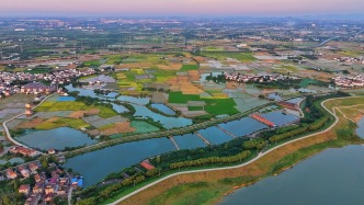 农业农村部：我国已累计建成超10亿亩高标准农田