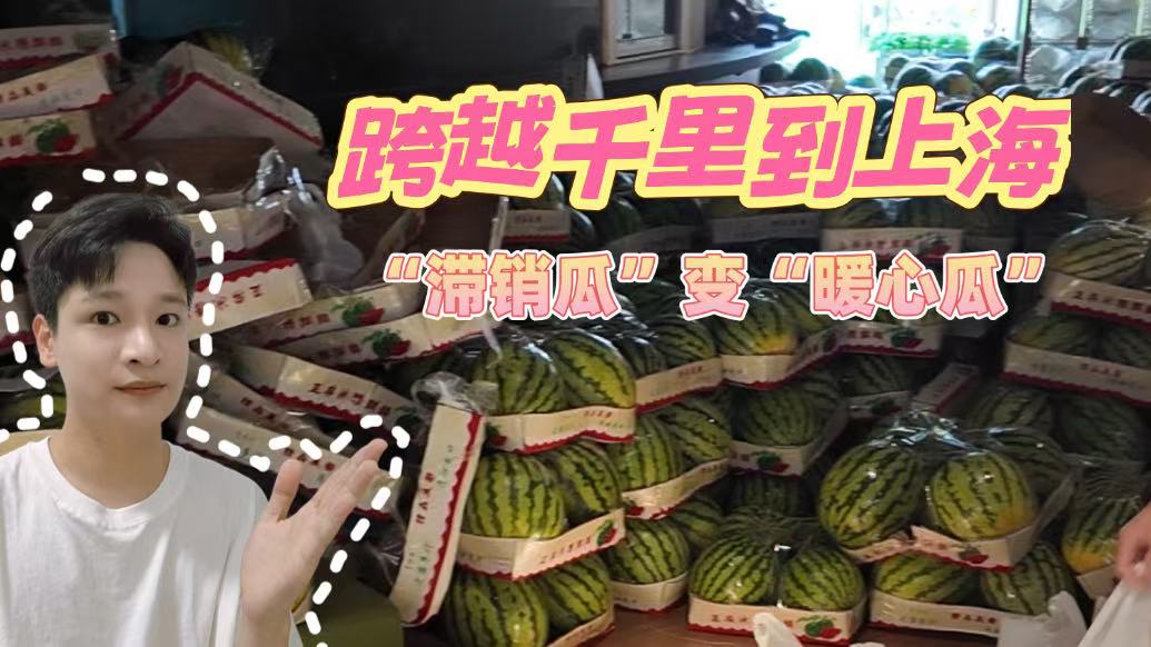 跨越千里到上海，河南“滞销瓜”变“暖心瓜”