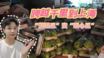 跨越千里到上海，河南“滞销瓜”变“暖心瓜”