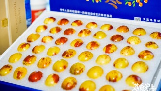 上海市果品行业协会：大荔冬枣市场销售量大，发展前景广阔