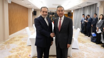 王毅会见伊朗外长阿拉格齐