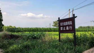 山西运城一路面塌陷处现大量白骨，系玉壁之战遗骸