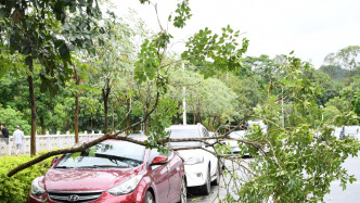 广东向受灾地区拨付省级自然灾害救灾资金5000万元