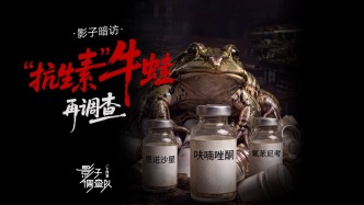 影子暗访｜“抗生素”牛蛙再调查