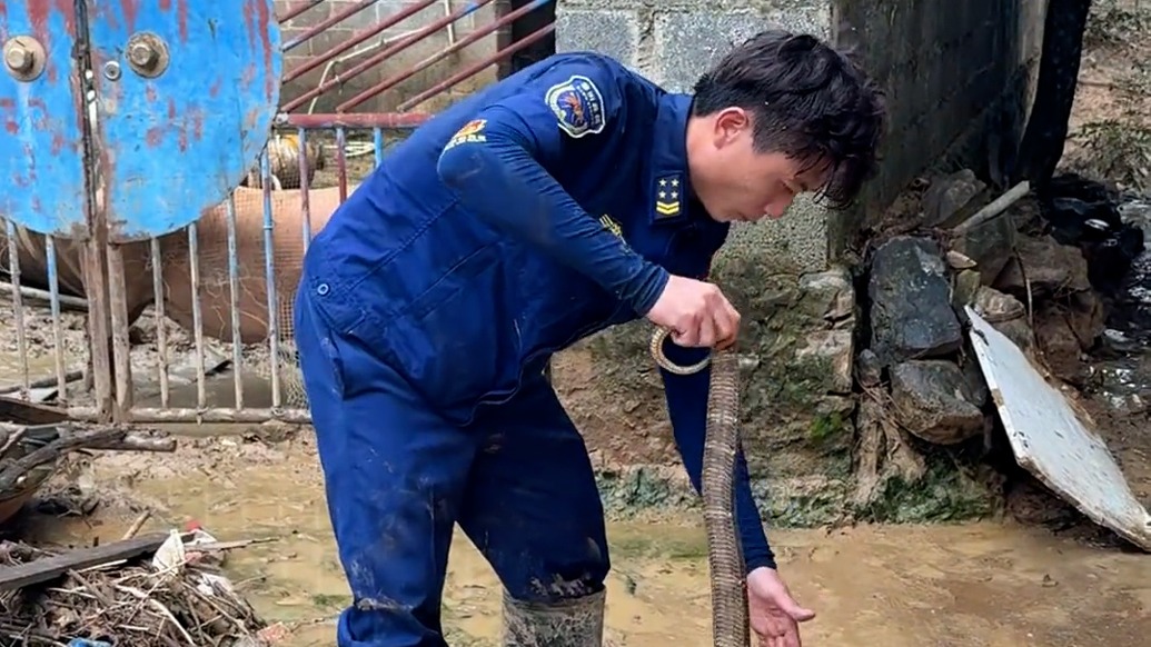 福建捕蛇能手自费在广西抓蛇，一天曾抓20多条毒蛇，他说：怕就不来，来就不怕