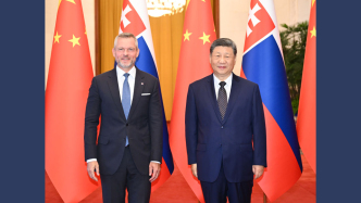 详讯丨习近平同斯洛伐克总统佩列格里尼会谈