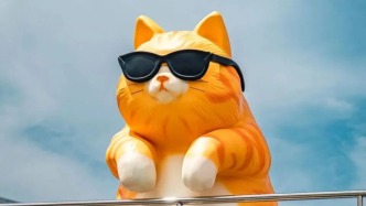 城市人为什么越来越爱猫？上海这两个猫文明展给你答案
