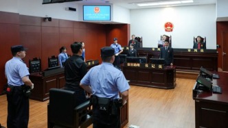 侵犯《繁花》等4000余部影视作品著作权，被告人获刑四年六个月