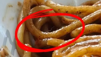 宜昌夷陵区通报“顾客带宠物就餐狗毛飘入餐盘”：对涉事商家现场调查处理
