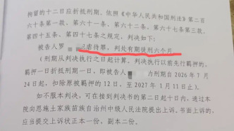 女子称结婚14年遭丈夫家暴13年，刑事自诉案一审宣判：被告人犯虐待罪，获刑6个月