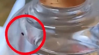 网友称未开封白酒内出现甲壳虫，白云边酒业：涉事酒非正品，已就不实传播行为报案