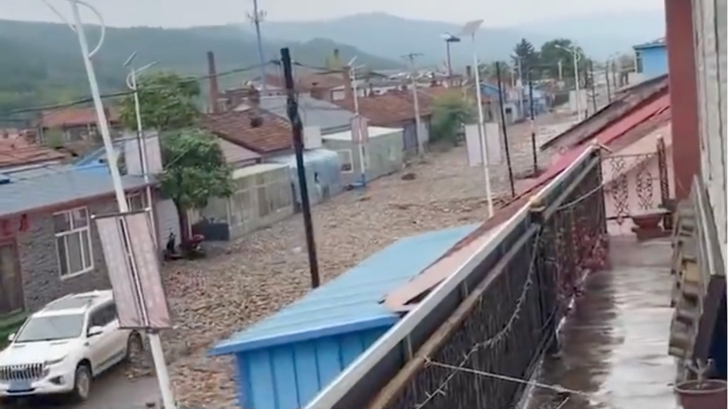 吉林延边遭遇极端短时强降雨,大量菌包菌棒被冲上街头