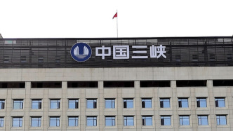 三峡人寿上半年保险业务收入增225.1%至8.5亿元，仍净亏4877万元