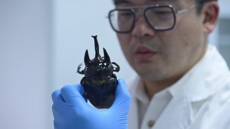 上海海关三年来截获外来物种510种次，查获“异宠”近2.2万只