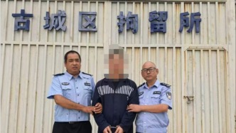 男子持假导游证带外籍旅游团在丽江被查，警方：拘留5日