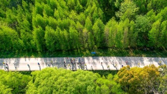 《求是》杂志发表习近平总书记重要文章《加快建设健康中国》