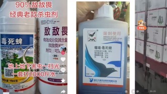 6种限用农药仍在平台销售，专家建议长效治理堵住监管漏洞