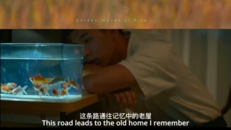 从课堂作业到荧屏作品：从《风吹稻浪》看音乐微短剧