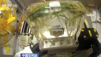 视频丨太空种粮技术升级！首次在轨连续培养两代水稻实验进展顺利