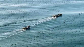 上半年我国海洋生产总值5.5万亿元，同比增长5.1%