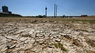 莱茵河、多瑙河水位双双告急，“我们甚至可以一路走到罗马尼亚”