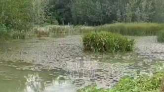 襄阳一灌溉水坝被村民承包隔成三口鱼塘养鱼，当地村民：灌溉用水无法保障，20多年投诉无回应