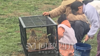 甘孜：督促各大景区安排人员现场劝阻游客近距离接触土拨鼠