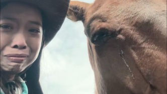 “这种双向奔赴让我特别感动”，旅居者与小马相伴一个多月，离别时一人一马双双“落泪” 