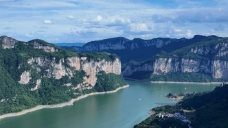 游客点赞毕节：凉快又对宠物友好，在旅行目的地中排到“夯”